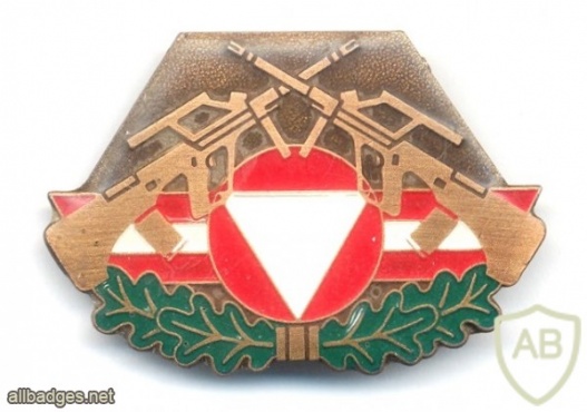 AUSTRIA Army (Bundesheer) - Combat Service Proficiency badge, Bronze img24757