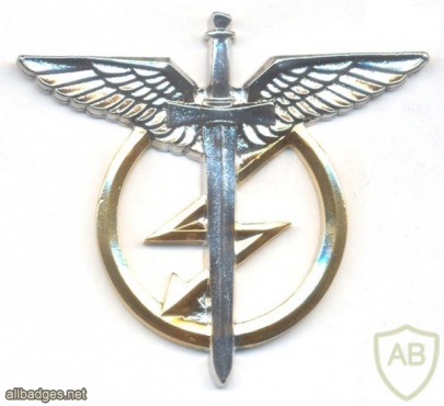 CZECH REP. Air Force Radio Operator qualification wings badge, current img24803
