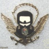 Venezuela Navy Special Operations Forces Commanding Officer (obsolete)