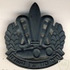 סמל כובע חיל האיסוף הקרבי - דגם 2 img24843