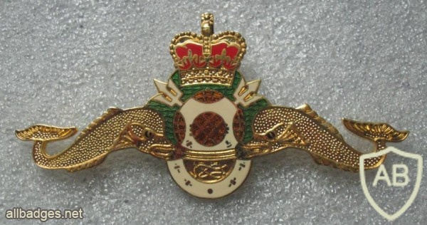 CANADA Clearance Diver badge, metal img24867