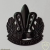 סמל כובע חיל האיסוף הקרבי - דגם 1 img24842