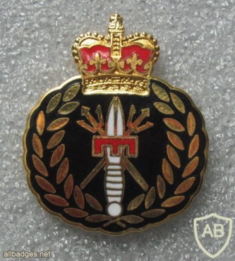 Canadian Navy Combat Diver badge, metal img24865