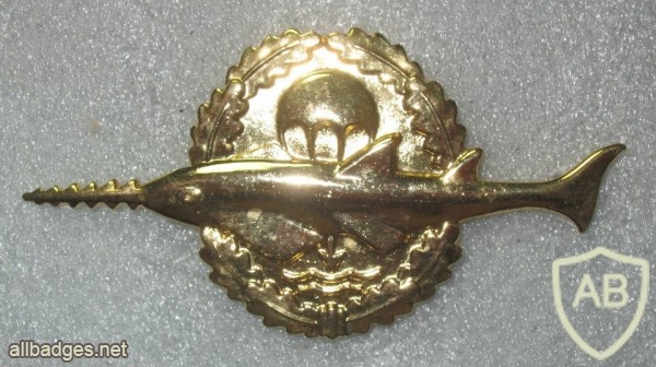 GERMANY Combat diver qualification badge, 1966-1983, Class I (gold) img24934