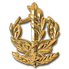 דרגת צווארון רס''ב (רב סמל בכיר) - חיל הים img24914
