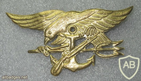 US Navy SEAL (Indonesia made, thin metal) img24896