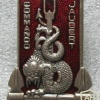 Commando Jaubert badge img24943