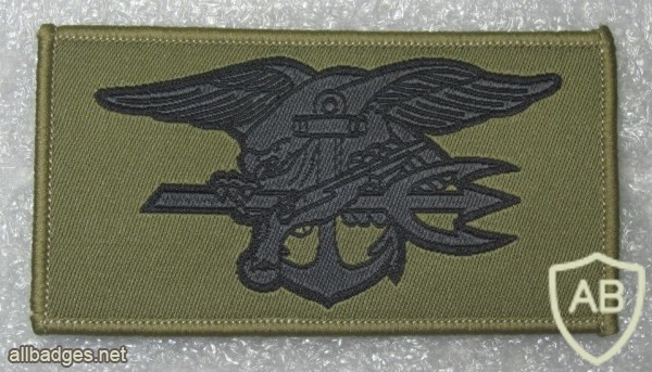 US Navy SEAL (Singapore made) img24897