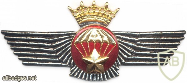 SPAIN Observer Parachutist wing, pre-1977 img24963