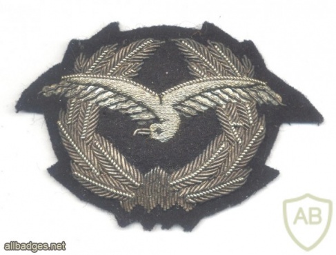 AUSTRIA Army (Bundesheer) Air Force cap badge, bullion, padded img24990