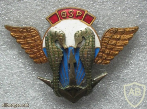 Poland Navy Special Forces (FORMOZA) badge img24993