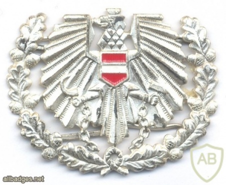 AUSTRIA Army (Bundesheer) beret cap badge, silver img24988
