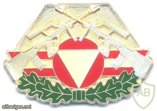 AUSTRIA Army (Bundesheer) - Combat Service Proficiency badge, Silver img25013