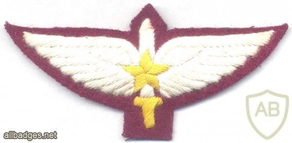 PAKISTAN Special Service Group - SSG Commando wings, Master img25003