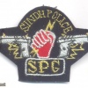 PAKISTAN Sindh Province Police SPG Commando Unit badge