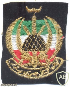 IRAN Army Ground Forces sleeve patch, post 1979 img25017