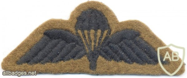 UK British Army Parachute Jump wings, black on green img25033