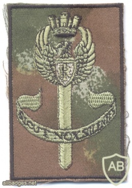 ITALY National Police NOCS Special counter-terrorism unit sleeve patch, camo img25093
