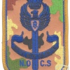 ITALY National Police NOCS Special counter-terrorism unit sleeve patch, camo img25091
