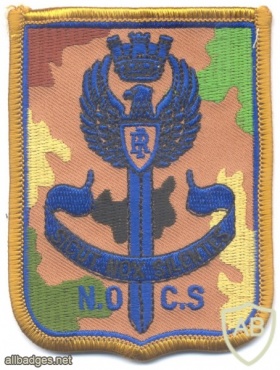 ITALY National Police NOCS Special counter-terrorism unit sleeve patch, camo img25091