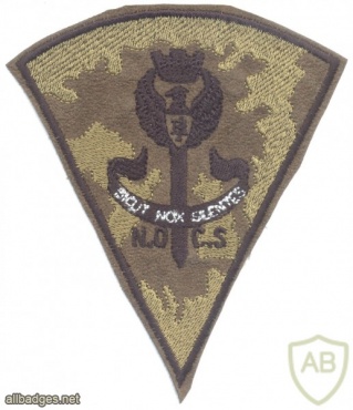 ITALY National Police NOCS Special counter-terrorism unit sleeve patch, subdued img25094