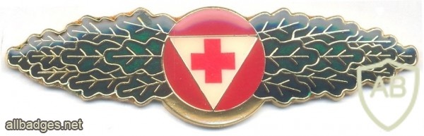 AUSTRIA Army (Bundesheer) - Combat Service Medic Proficiency badge img25107