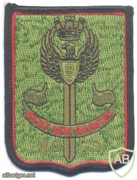 ITALY National Police NOCS Special counter-terrorism unit sleeve patch, subdued img25092