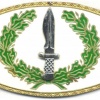 SPAIN Special Operations qualification breast badge img25116