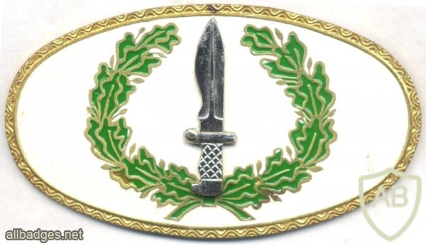 SPAIN Special Operations qualification breast badge img25116