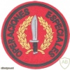 SPAIN Army GOE Special Operations Forces generic sleeve patch