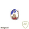 FRANCE 99th Alpine Infantry Regiment pocket badge