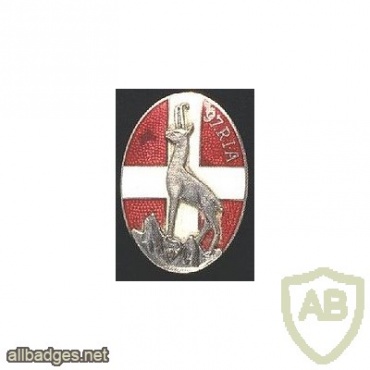 FRANCE 97th Alpine Infantry Regiment pocket badge img25121