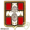 FRANCE 101st Infantry Regiment pocket badge, type 1