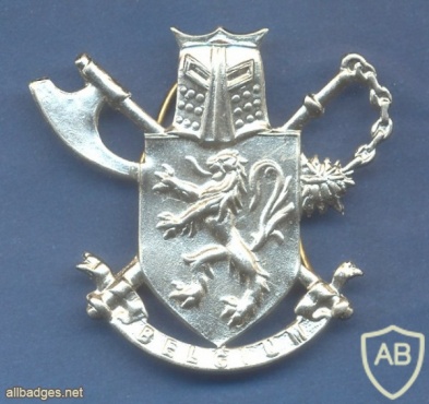 BELGIUM 3rd Para-Commando Battalion Parachutist beret badge, silver for Enlisted img25126