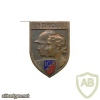 FRANCE 103rd Infantry Regiment pocket badge