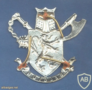 BELGIUM 3rd Para-Commando Battalion Parachutist beret badge, silver for Enlisted img25127