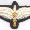 PAKISTAN Special Service Group - SSG Commando wings, Basic img25158