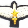 PAKISTAN Special Service Group - SSG Commando wings, Basic 1 img25160