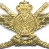 OMAN Special Forces cap / beret badge