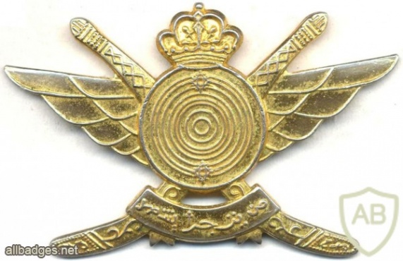 OMAN Special Forces cap / beret badge img25161