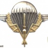 CHAD parachutist qualification wings img25142