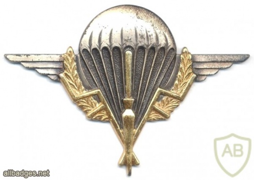 CHAD parachutist qualification wings img25142