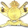 OMAN Special Forces cap / beret badge img25162