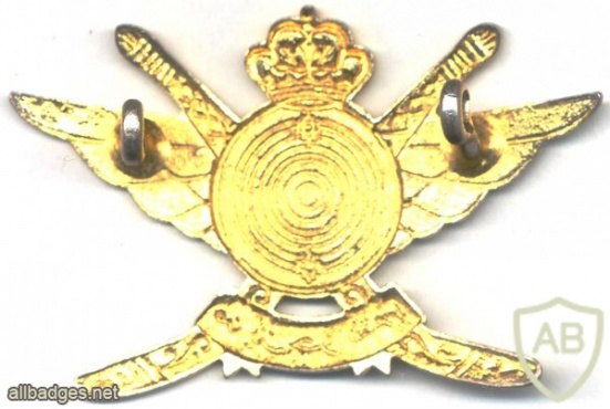 OMAN Special Forces cap / beret badge img25162