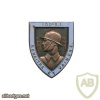 FRANCE 109th Infantry Regiment pocket badge
