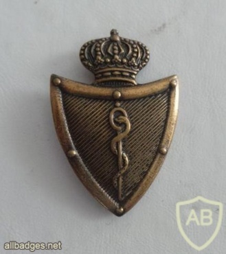 Medical beret badge, officer, old img25165