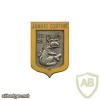 FRANCE 115th Infantry Regiment pocket badge, old img25183