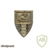 FRANCE 118th Infantry Regiment pocket badge img25198