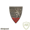 FRANCE 130th Infantry Regiment pocket badge img25226