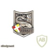 FRANCE 129th Infantry Regiment, commando training center pocket badge